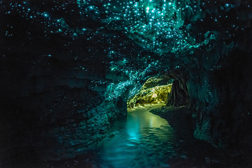 There is a Glow Worm Cave in Waitomo, New Zealand