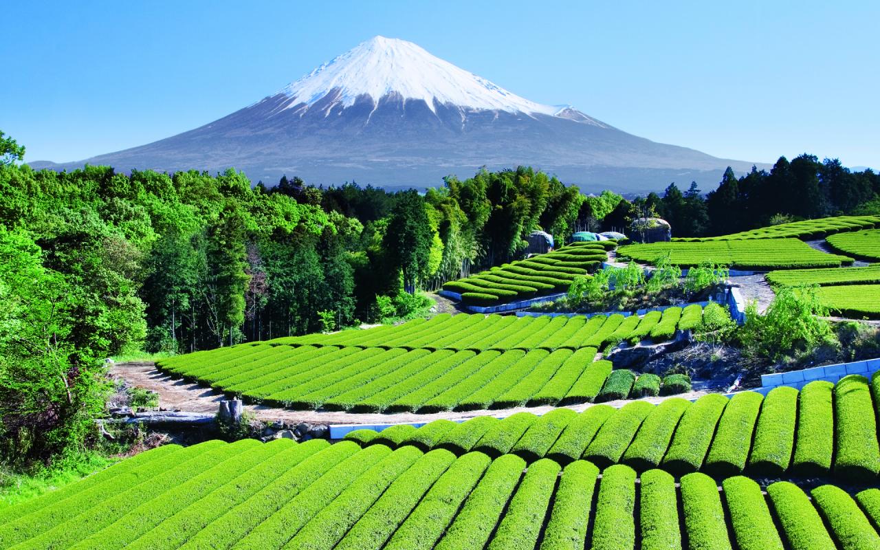 Mount Fuji, Japan: 12,388'