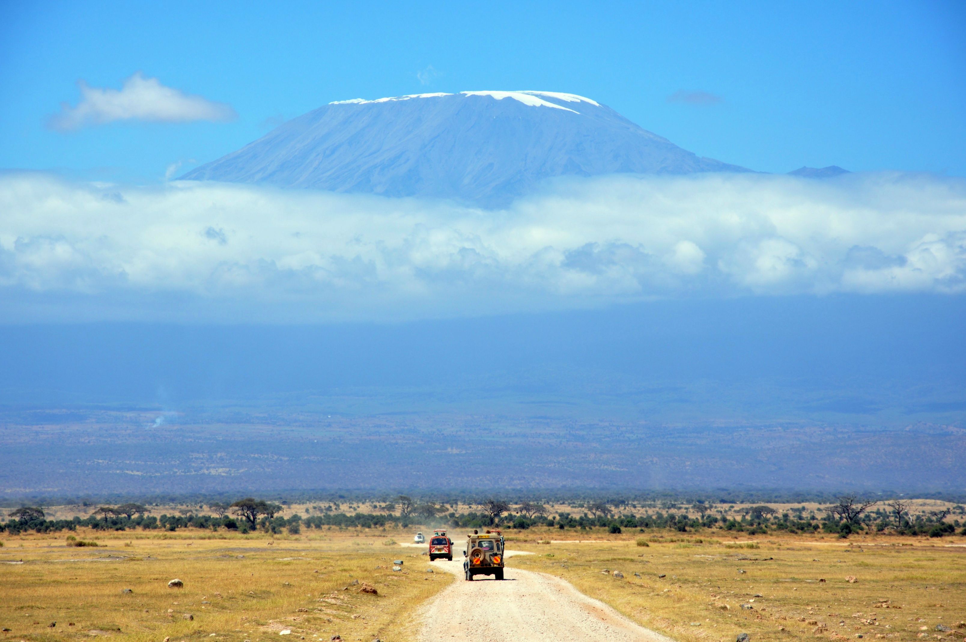 Mount Kilimanjaro, Tanzania: 19,308'