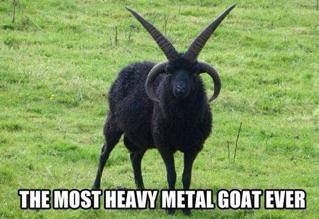 20 Things That Are Surprisingly Super Metal