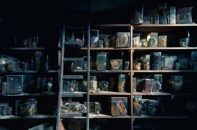 Many jars and containers remain in the place where some (mad?) scientist organized them many decades ago.
