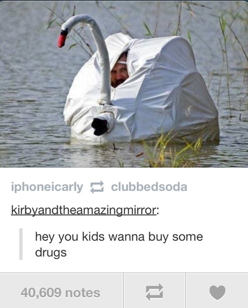 Tumblr - hey kids you wanna buy some drugs - iphoneicarly clubbedsoda kirbyandtheamazingmirror hey you kids wanna buy some drugs 40,609 notes
