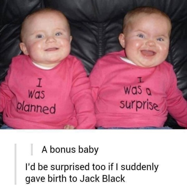 Tumblr - twins funny - Was planned was a surprise | A bonus baby I'd be surprised too if I suddenly gave birth to Jack Black