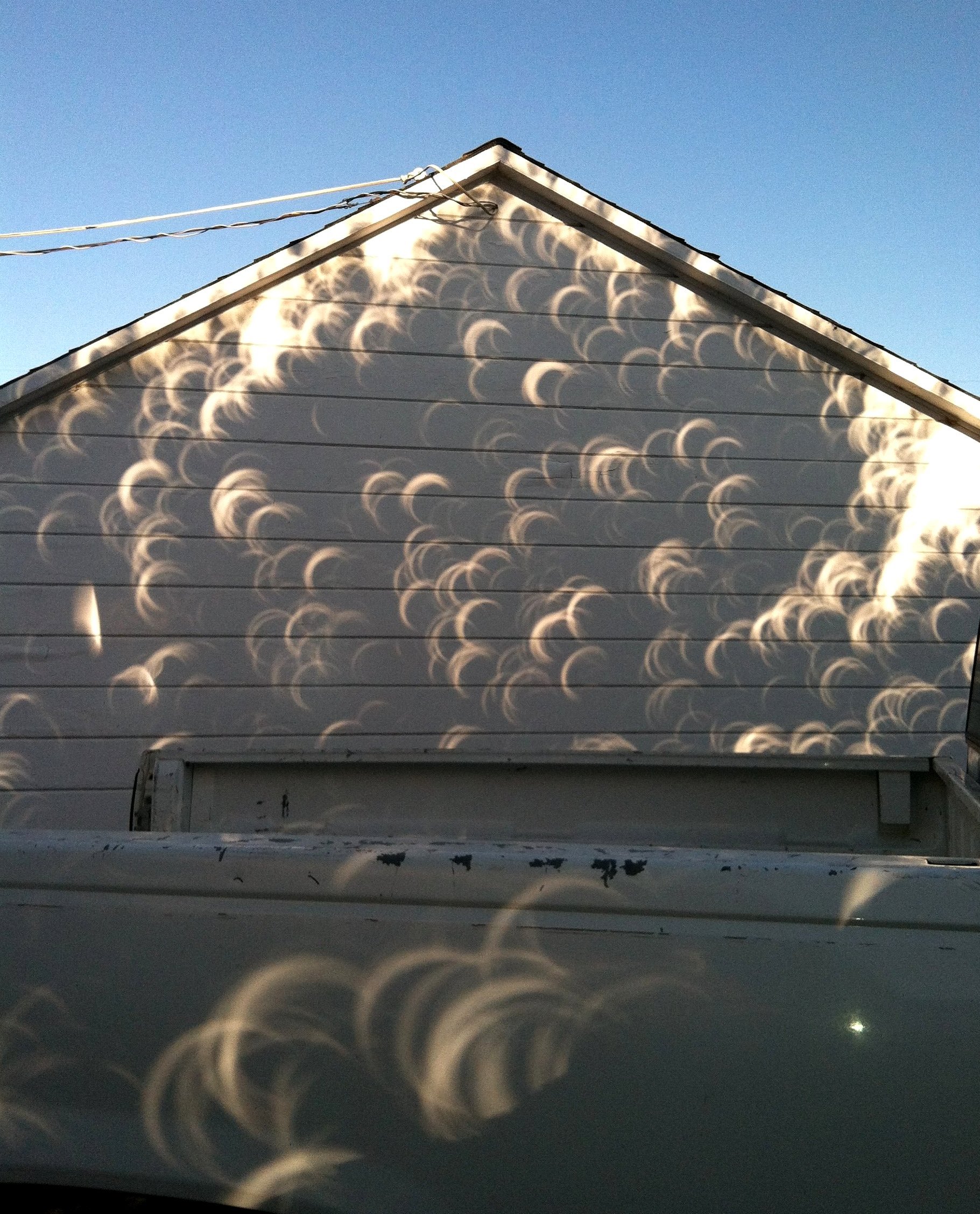 This is what the shadow of a tree looks like during an eclipse.