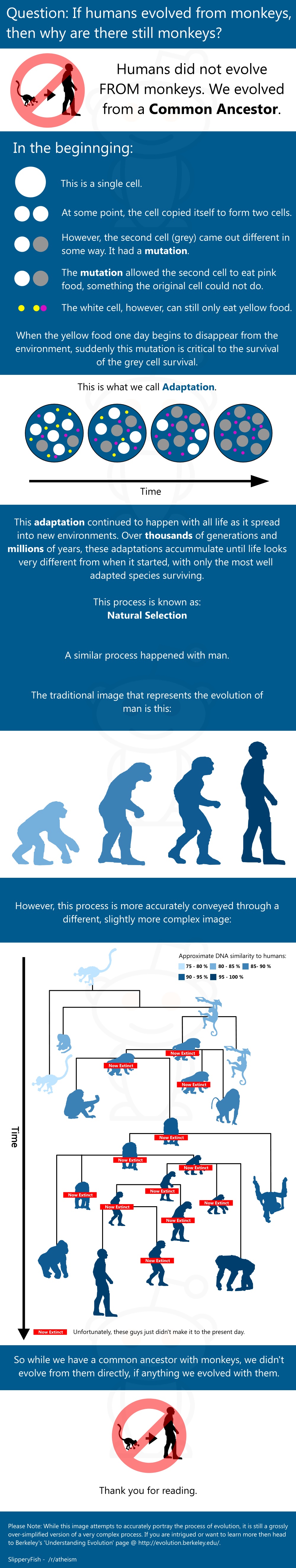 For the people who don't understand how evolution works.