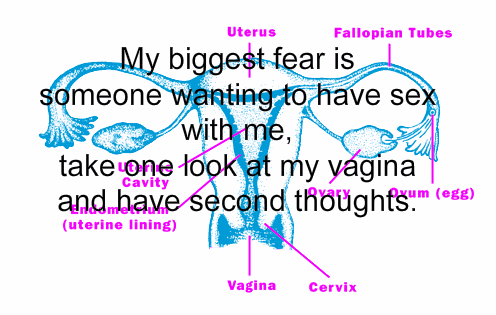 anti liberal bumper stickers - Uterus Fallopian Tubes My biggest fear is someone wanting to have sex with me, take one look at my yagina and have second thoughts. Ee Cavity uterine lining Vagina Cervix