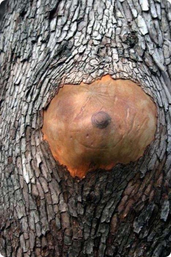 38 Dirty Images That Will Make You Feel Weird