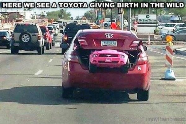 funny car memes - Here We See A Toyota Giving Birth In The Wild Drive Time AURUS28 FunnyBeing eam