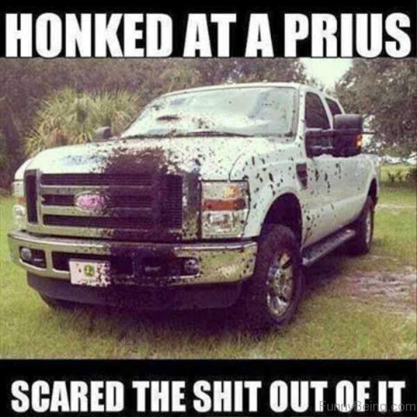 honked at a prius - Honked At A Prius Scared The Shit Out Of It