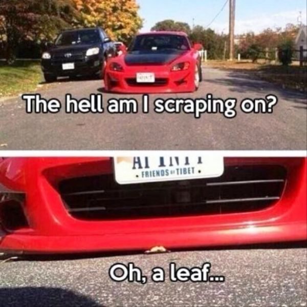 scraping car - The hell am I scraping on? Friends Tibet. Oh, a leaf...