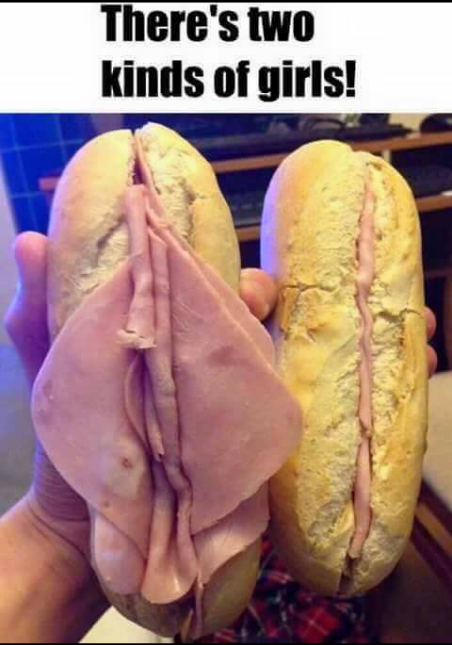 two types of girls sandwich - There's two kinds of girls!