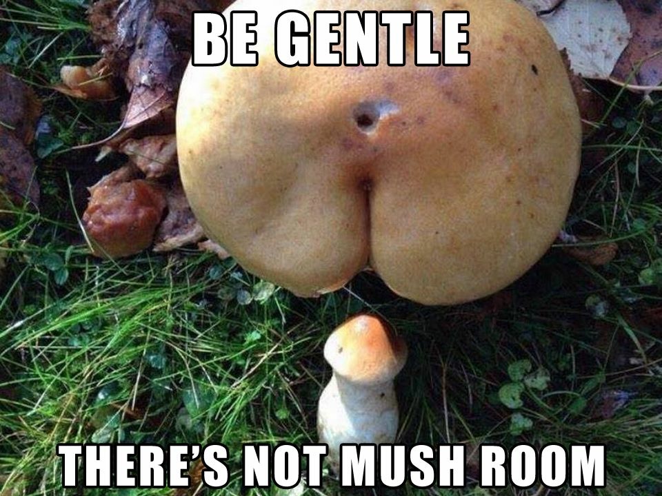 not mushroom meme - Be Gentle Mush Room There'S Not Mush Room