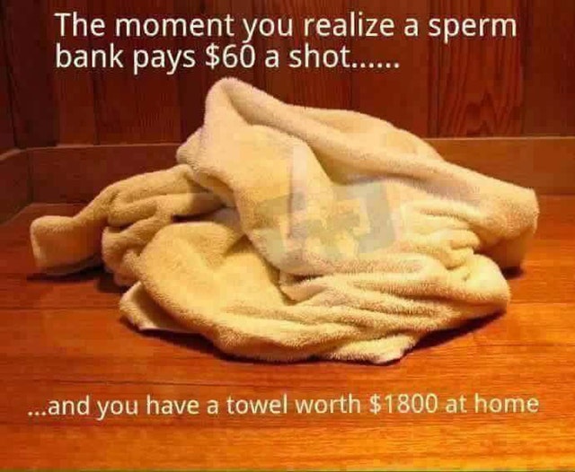 towel on the ground - The moment you realize a sperm bank pays $60 a shot...... ...and you have a towel worth $1800 at home