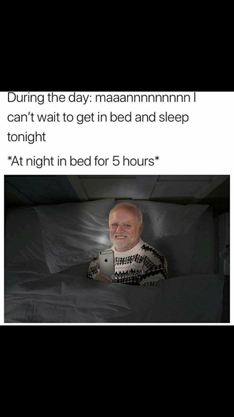 sleep meme - During the day maaannnnnnnnn can't wait to get in bed and sleep tonight At night in bed for 5 hours