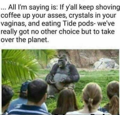 philosophy gorilla meme - ... All I'm saying is If y'all keep shoving coffee up your asses, crystals in your vaginas, and eating Tide pods we've really got no other choice but to take over the planet.