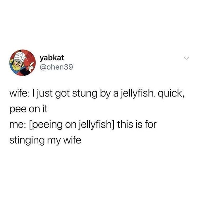 jim carrey on marriage tweet - yabkat wife I just got stung by a jellyfish. quick, pee on it me peeing on jellyfish this is for stinging my wife