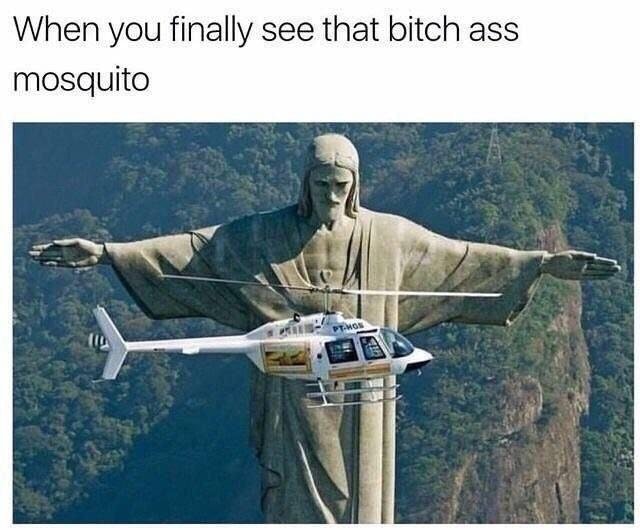 you finally see that bitch ass mosquito - When you finally see that bitch ass mosquito