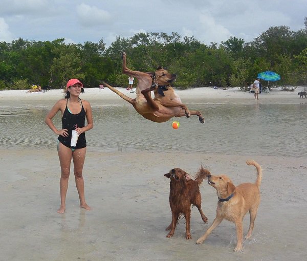 22 Perfectly Timed Photos Of People Getting Owned