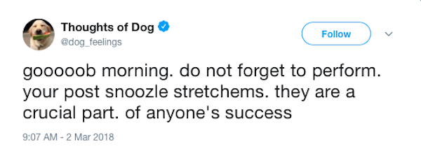 29 Tweets. If Only Our Dogs Could Talk!