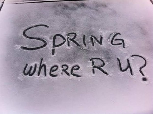 Where are you. Where is Spring. Spring where are you. Where are you? Cold Heart 2.