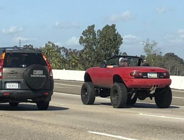 40 Cars Spotted That Will Cause You Severe Rubberneck!