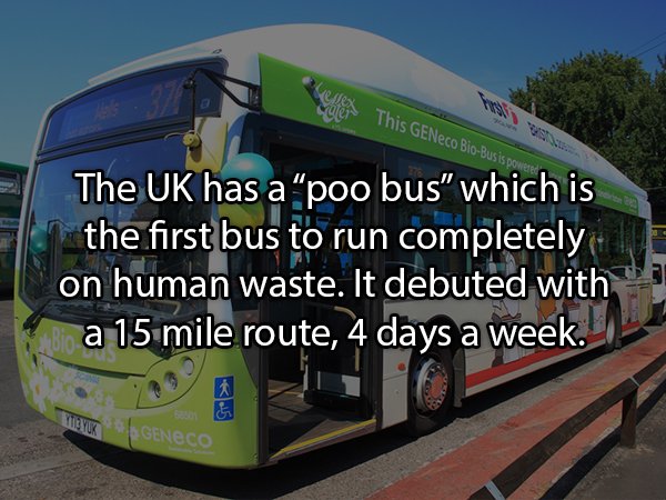 19 Sh*tty Facts About Poop!