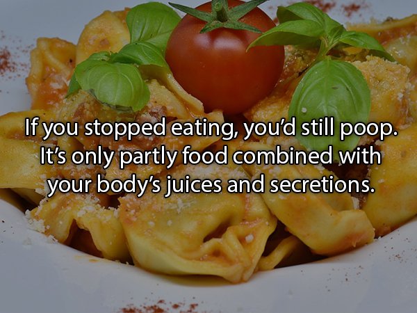 19 Sh*tty Facts About Poop!