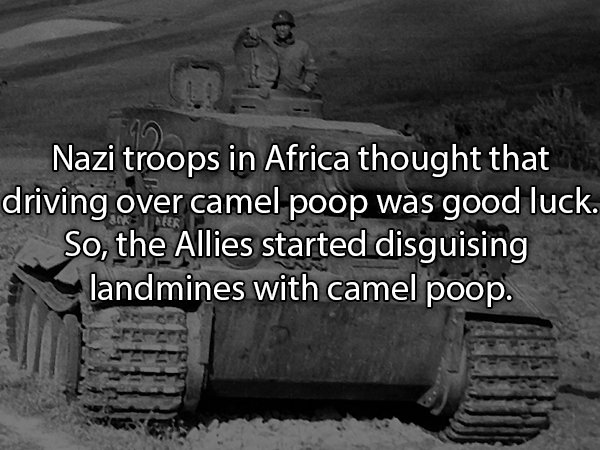 19 Sh*tty Facts About Poop!