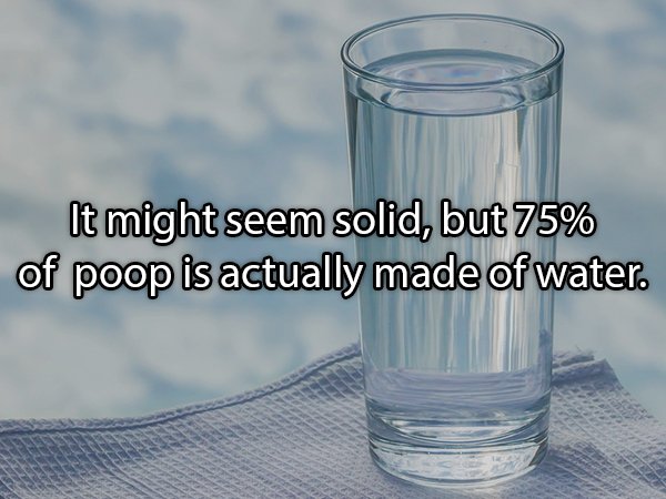 19 Sh*tty Facts About Poop!