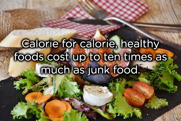 One of those facts that unfortunately has no upside. Britain is facing an obesity crisis which has resulted in talks about levies and taxes on junk food. How about making healthy food cheaper than junk food? Either way, if you’re wondering why there’s an obesity crisis, here it is.