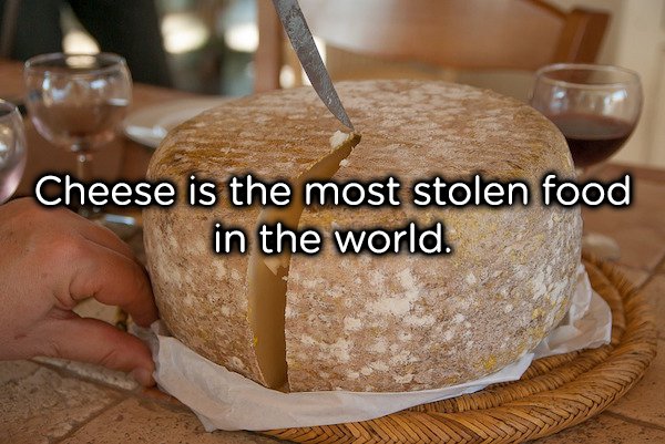 Definitely one of the more surprising facts in this series, the most stolen food in the world is in fact cheese. Around 4% of ALL the cheese made in the world gets stolen. There’s even a black market of stolen cheeses, but we didn’t tell you that.