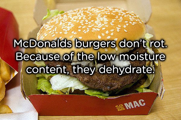 You may have known this one already, but it’s not as gross as it sounds. The large surface area of McDonald’s burgers means that the burger loses its moisture very quickly. Moisture is required for mould to grow. It’s by this method that beef jerky is made. It’s still disturbing, though.