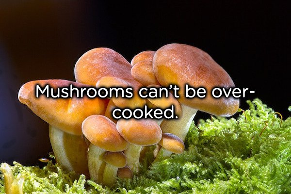If you messed up the mushrooms for dinner, there’s no excuse to hide behind now. There’s a special polymer in the cell walls of mushrooms that ensure a tender taste. If you manage to overcook mushrooms, we regret to inform you that you’re just an exceptionally bad cook!