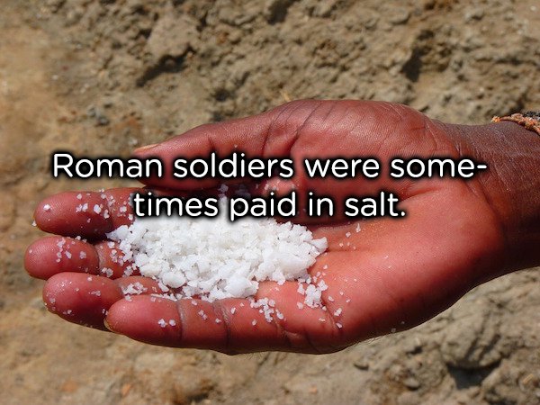 21 Food Facts For Your Mind To Feast On!