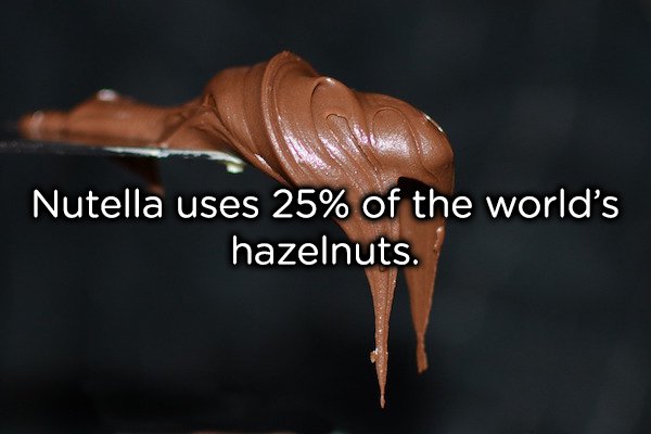 Nutella has become such a popular brand that 1 in 4 of every hazelnut on this planet makes its way into those jars of heavenly goodness. The demand for hazelnuts has grown so much that universities are trying to grow them in labs to fight against global shortages.