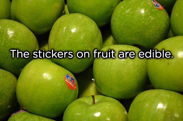 Now you don’t have to freak out when you take a bite into the sticker. Let us be clear about this fact, just because the stickers are non-toxic and edible, doesn’t mean you should eat them.