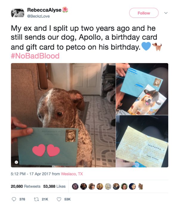 birthday cards for 30 to 39 - RebeccaAlyse My ex and I split up two years ago and he still sends our dog, Apollo, a birthday card and gift card to petco on his birthday. from Weslaco, Tx 20,680 53,388 @ 0 00 53K