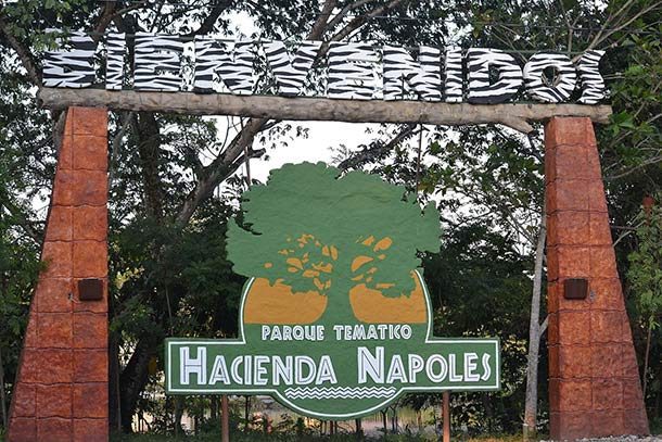 After his death, Pablo Escobar’s massive estate, Hacienda Nápoles, was ransacked and abandoned. Much later, it was converted into a theme park in the vein of Jurassic Park and is available to the public.