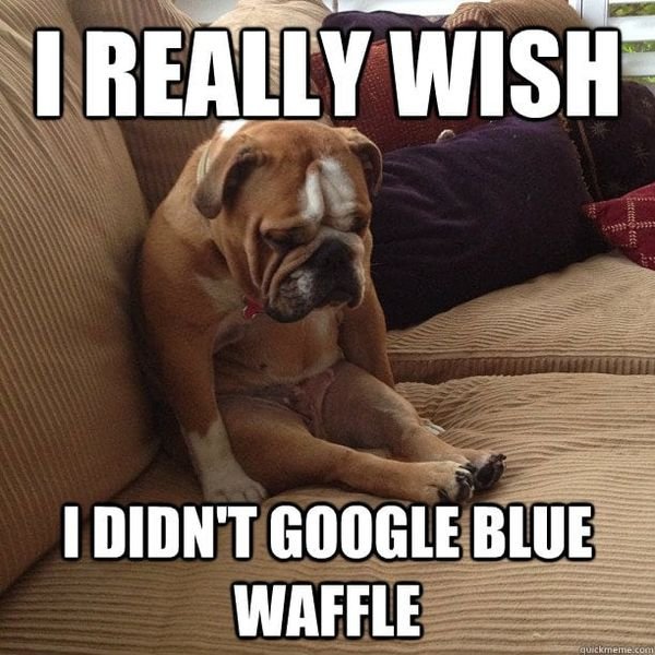 third world success kid - I Really Wish I Didn'T Google Blue Waffle quickreme.com