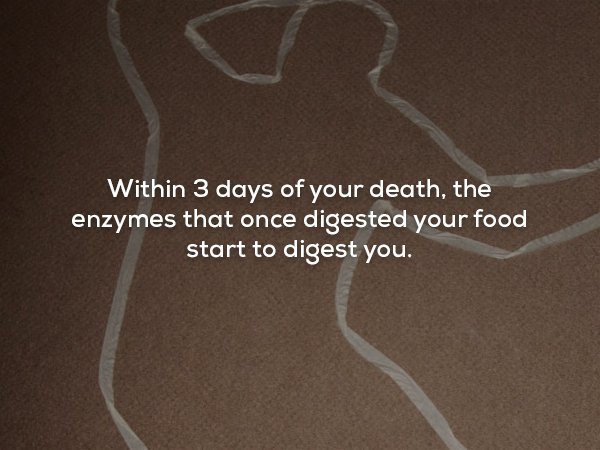 22 Bone Chilling Facts To Keep You Up At Night