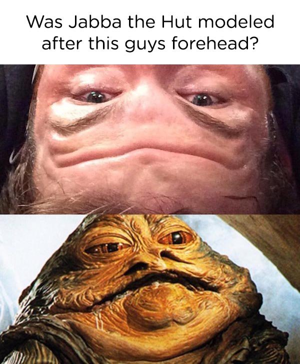 jabba the hutt fat meme - Was Jabba the Hut modeled after this guys forehead?