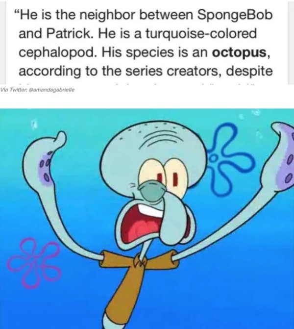 squidward's real identity - "He is the neighbor between SpongeBob and Patrick. He is a turquoisecolored cephalopod. His species is an octopus, according to the series creators, despite Via Twitter Gamandagabrielle