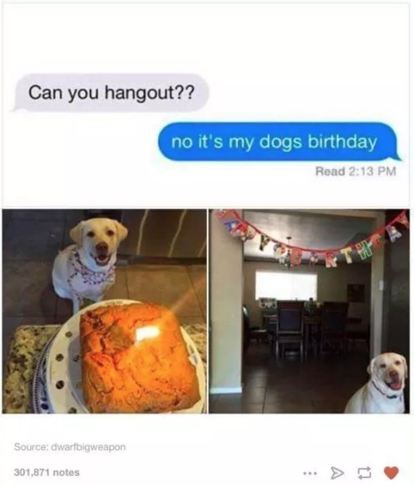 dog birthday - Can you hangout?? no it's my dogs birthday Read Source dwarfbigweapon 301,871 notes
