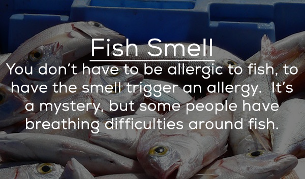14 Strange Things That Some People Are Allergic To