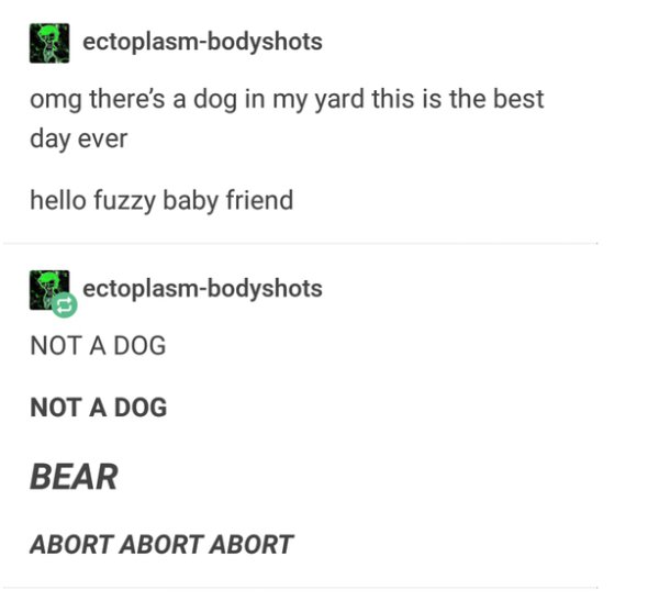 document - ectoplasmbodyshots omg there's a dog in my yard this is the best day ever hello fuzzy baby friend P ectoplasmbodyshots Not A Dog Not A Dog Bear Abort Abort Abort