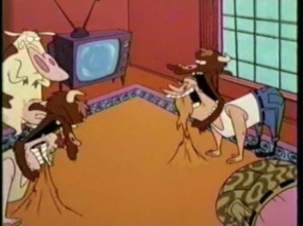 cow and chicken carpet eaters