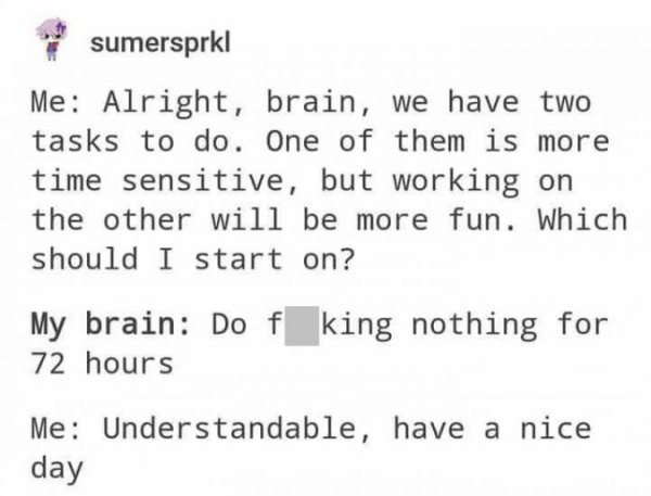 alright brain we have two tasks to do - sumersprki Me Alright, brain, we have two tasks to do. One of them is more time sensitive, but working on the other will be more fun. Which should I start on? My brain Do f king nothing for 72 hours Me Understandabl