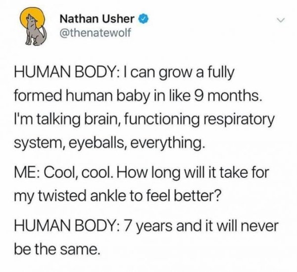 Sadness - Nathan Usher Human Body I can grow a fully formed human baby in 9 months. I'm talking brain, functioning respiratory system, eyeballs, everything. Me Cool, cool. How long will it take for my twisted ankle to feel better? Human Body 7 years and i