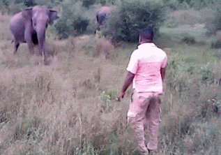 14 Gifs Of People Who Cheated Death