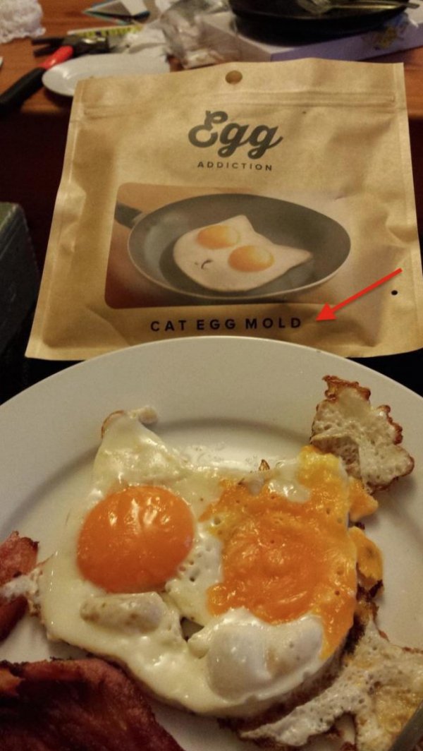 cat egg mold fail - egg Addiction Cat Egg Mold